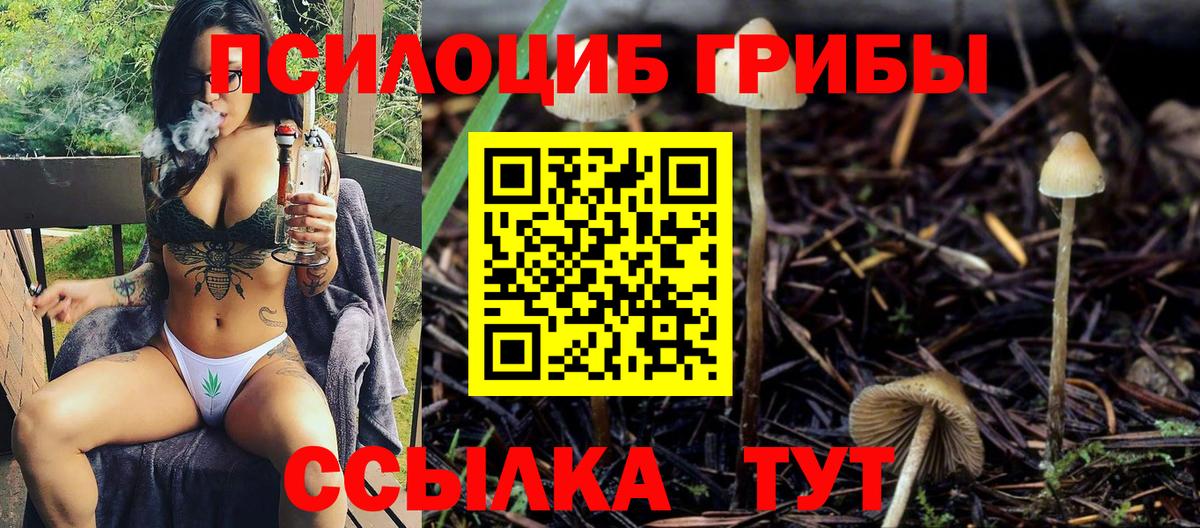 Псилоцибиновые грибы мицелий Волгоград