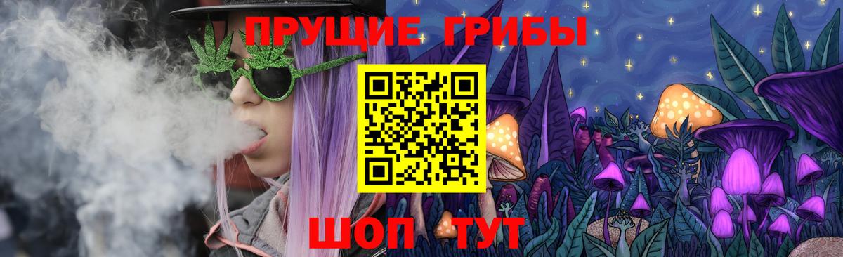 Галлюциногенные грибы Psilocybine cubensis  Галлюциногенные грибы мухоморы  Волгоград  Вход с VPN 